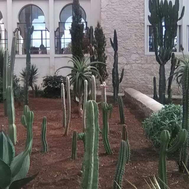 אסאוירה Les Jardins De Mogador Yoga Et Spa מראה חיצוני תמונה